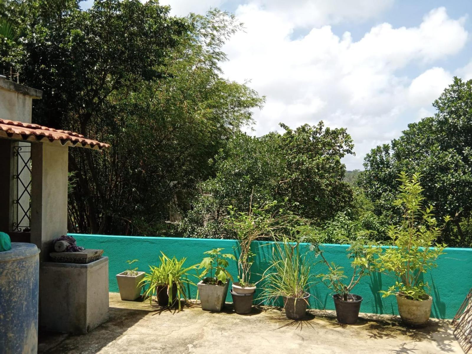 Cecilia Unawatuna Bilik gambar